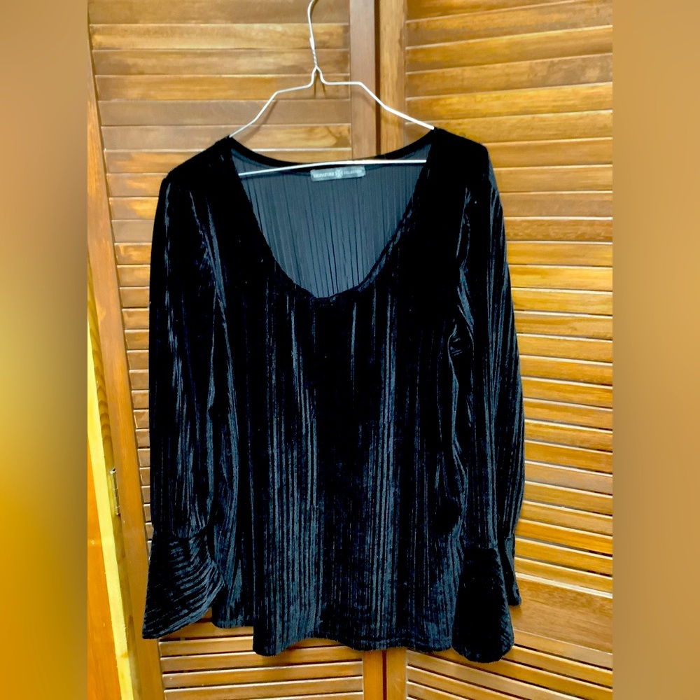Signature Collection Large Velvet Blouse